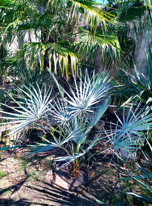 IMG 20260309 133144 054725 edit 844042936962917