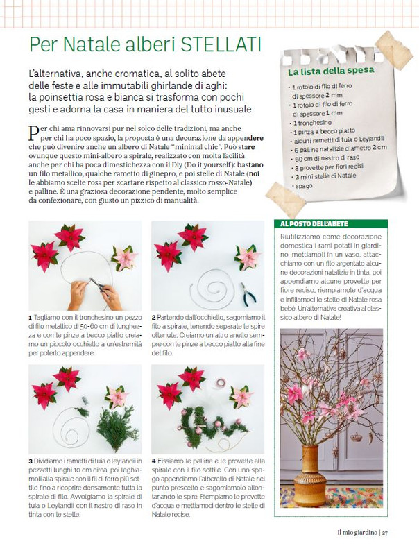 Il Mio Giar Dic 2023-Gen 2024 (6)