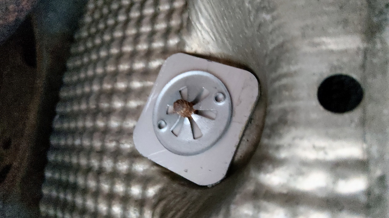 IMAG0685.jpg