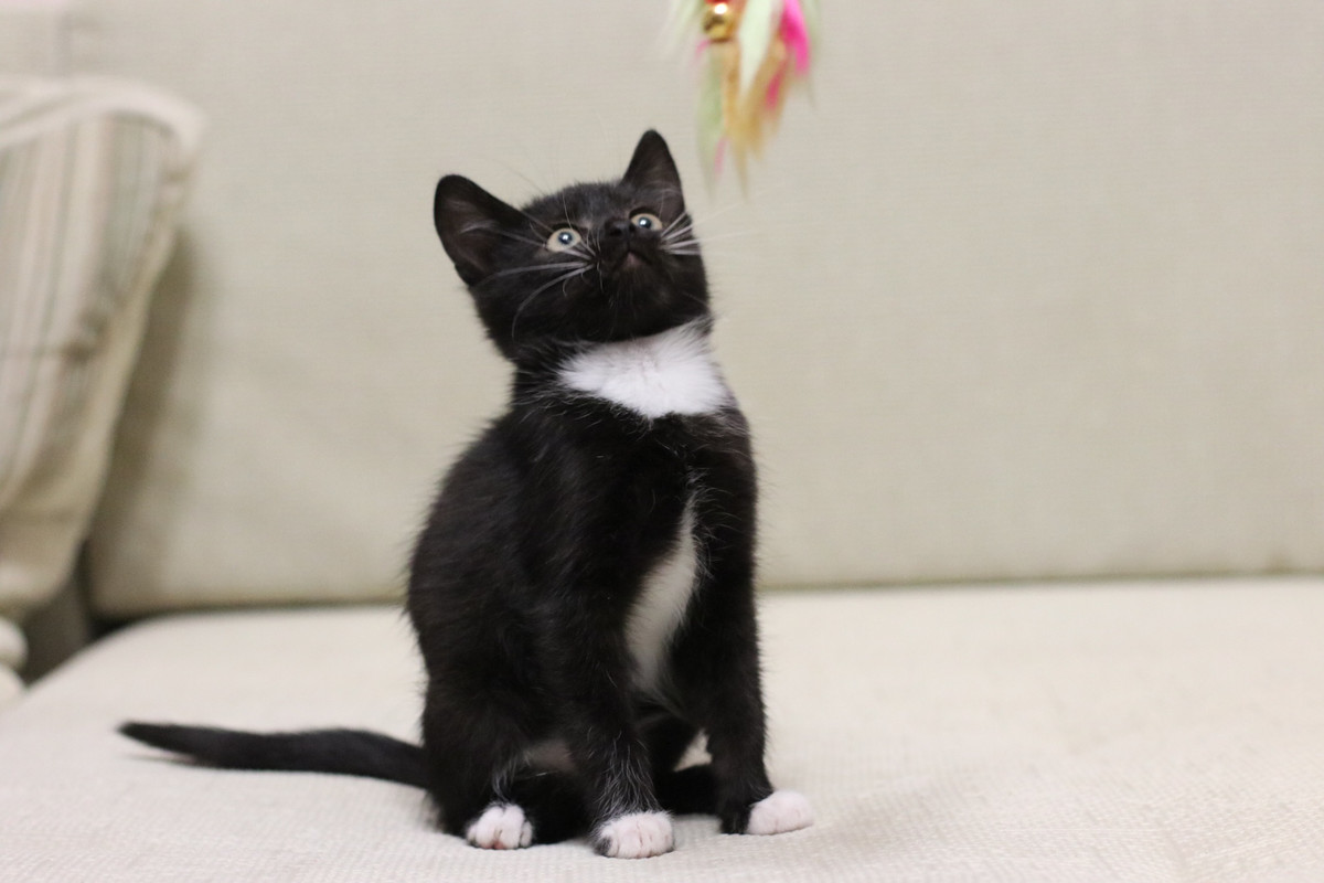 BB283E62-591B-45F7-BB0A-0A801E492AFA