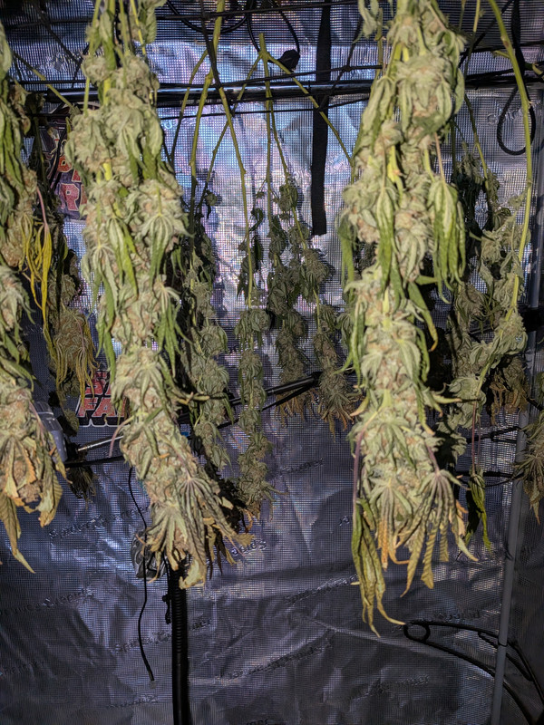 PXL 20260914 114708186