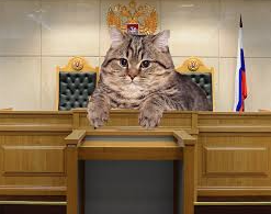 Snimok-ekrana-2025-12-05-v-12-47-55.png