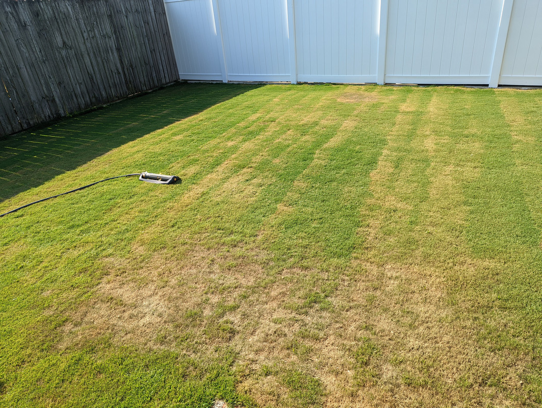 PXL_20220520_215930460