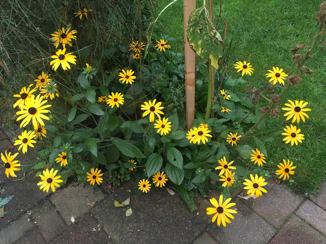 425F0360-B5CF-484E-BBB7-22A10094A84E