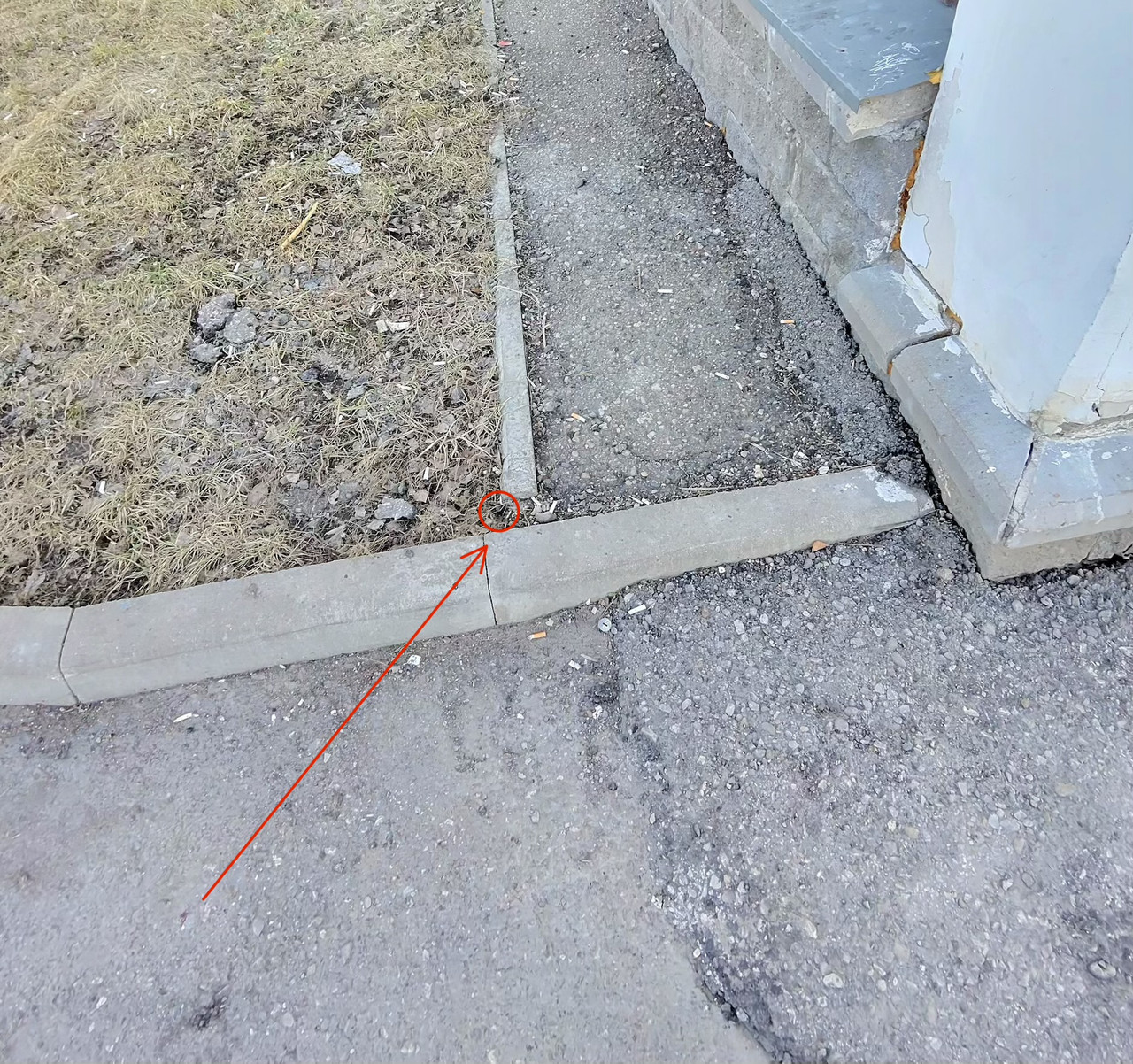 photo 386 singular display full Picture