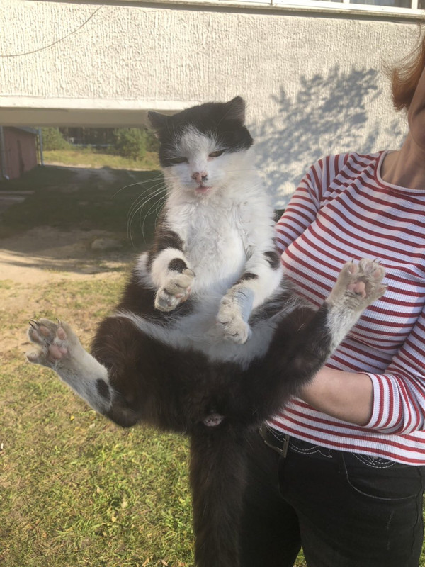 133D2E17-D360-46F9-AEDA-2DC0DF4F6AD1