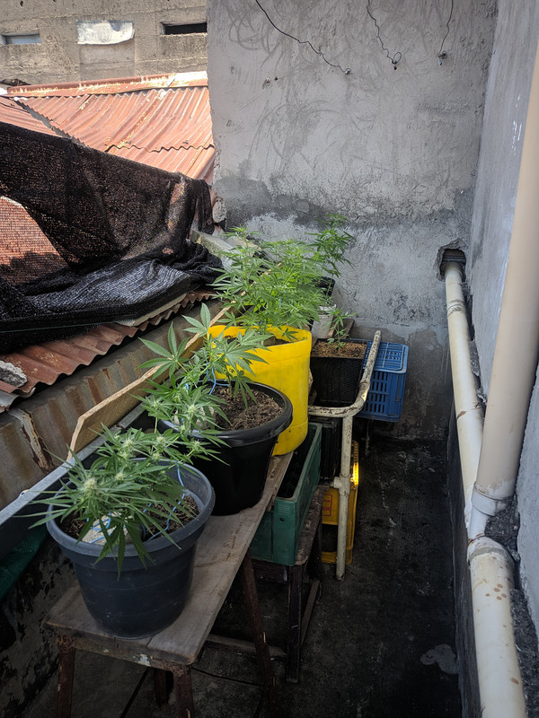 HC_20220926_112911_null