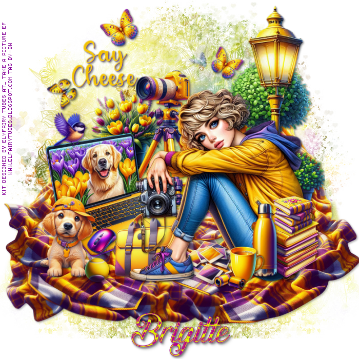 Tag a misfit feb 16th feb 22nd BW