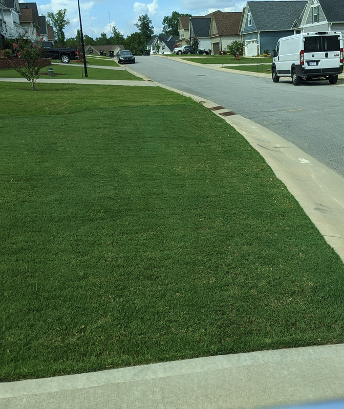 PXL_20200813_200455526.MP