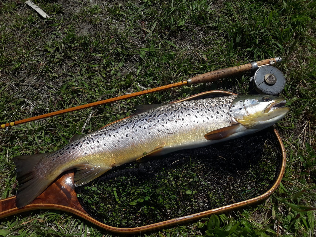 190180133_3895980600455574_1200732328272612372_n - Copy - Copy