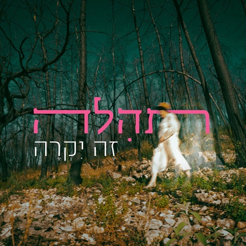 תמונה
