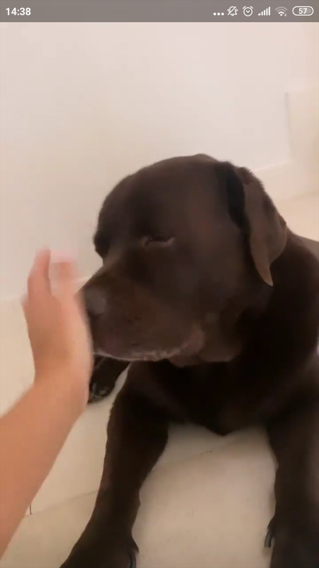 Screenshot_2019-10-15-14-38-35-500_com.instagram.android