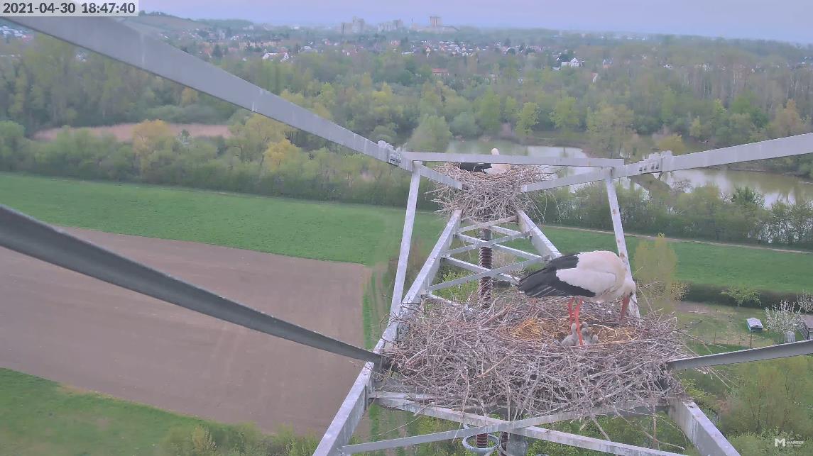 2021-04-30-1847-4Kü