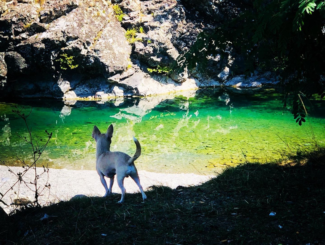 1008342C-AF45-4AC8-9A06-A11632F436E5