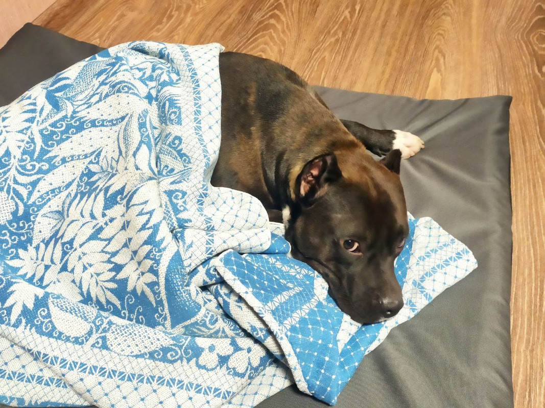 4BA2F9FF-8E68-4BE1-9254-7B662116A5E5