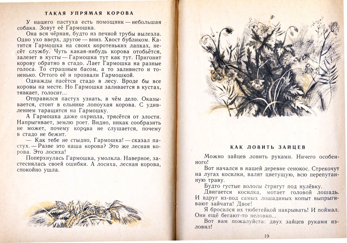 1978-page-0011