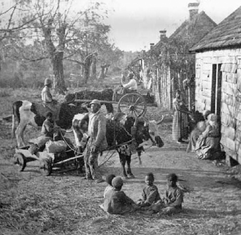 00-1860-Slaves-on-a-S-C-Plantation.jpg
