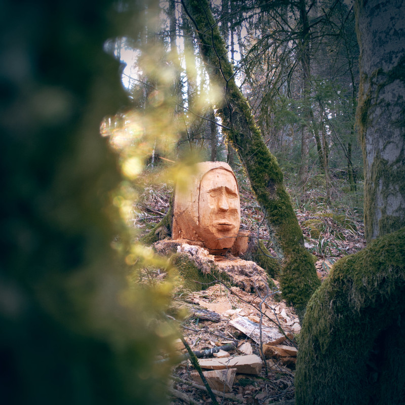 18 - Nos bûcherons ont du talent