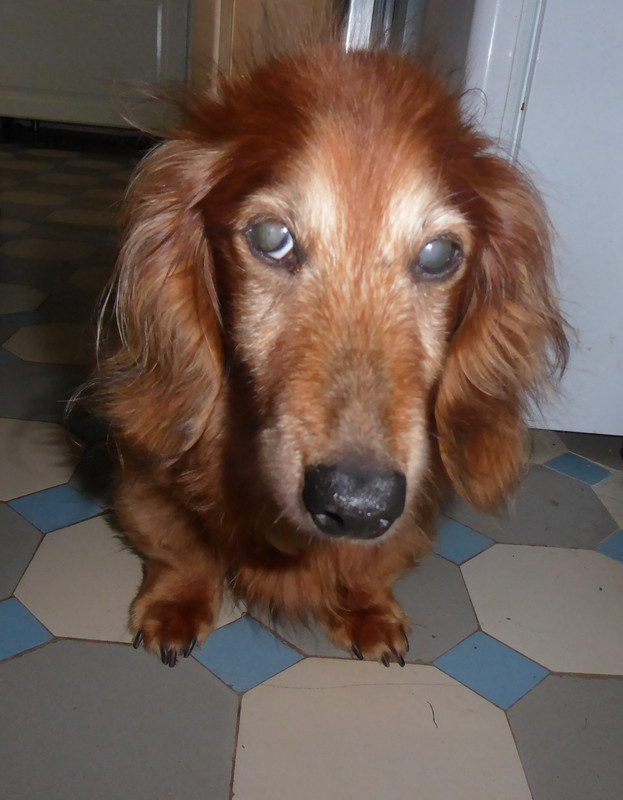 [Image: P1030783.jpg]