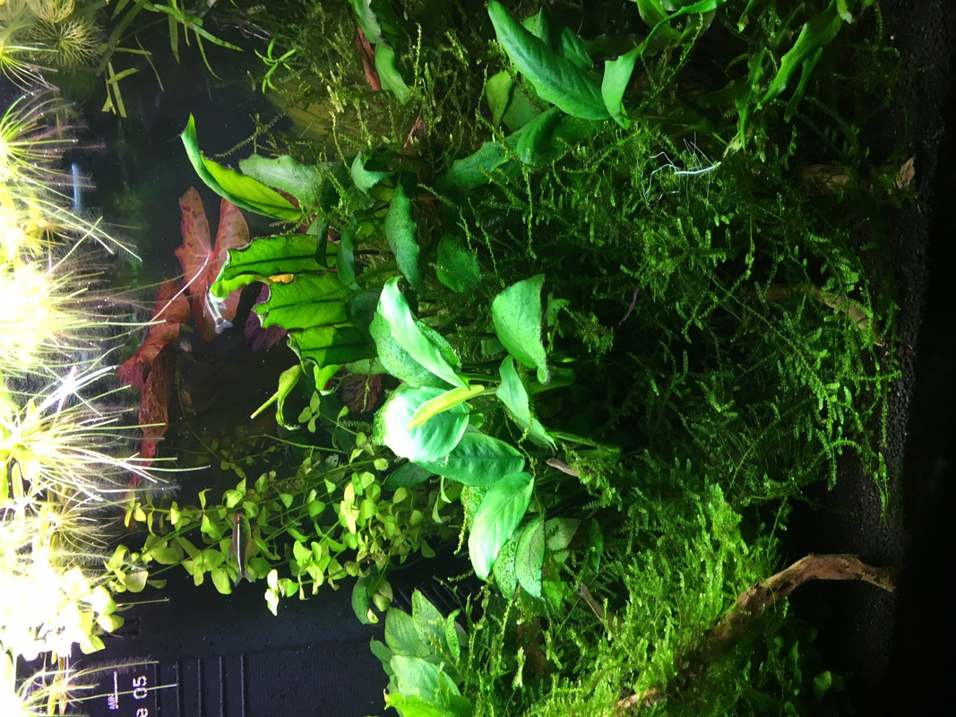 EE2B6252-8961-4EAC-B9FC-9FFAAA9F606A