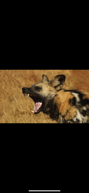 A7379EB7-29AD-4055-A2F3-4A29D8EF9C79