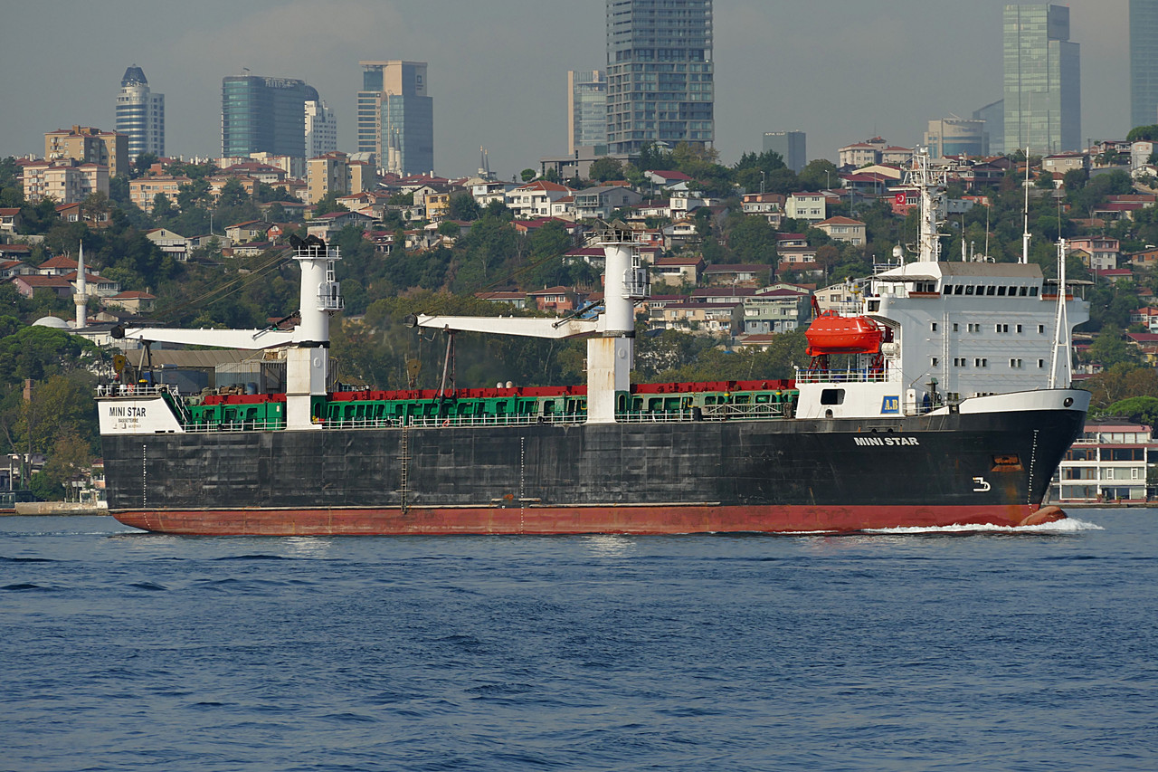 Mini Star (OK 280824 0)