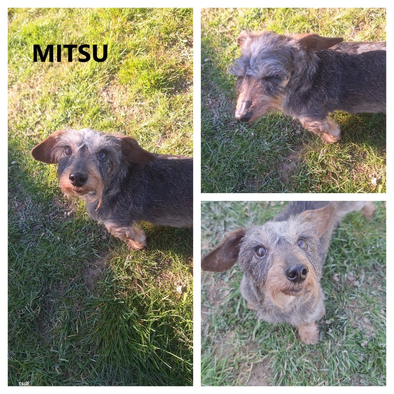 [Image: In-Collage-20250319-082147958.jpg]