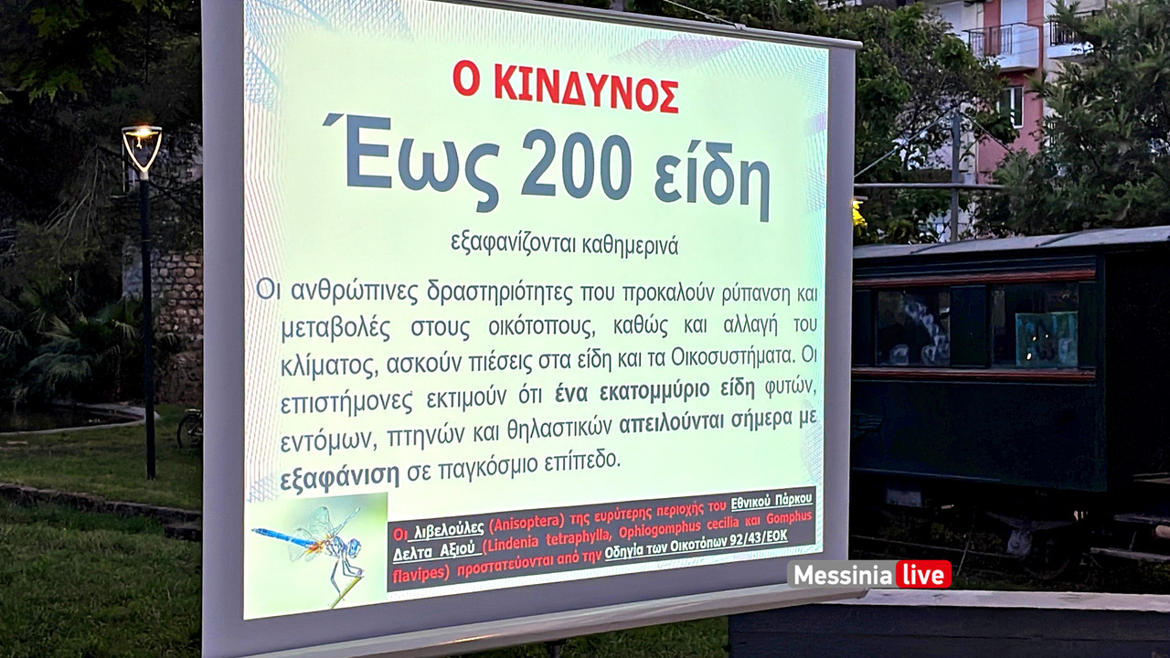 ΛΙΟΝΤΗΡΗΣimage00014