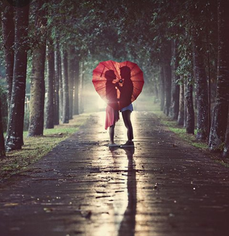 Screenshot_20240214_173411_Pinterest