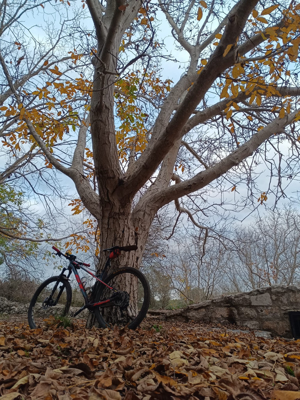 Immagine WhatsApp 2024-11-29 ore 14.18.03_1bf7e2ea