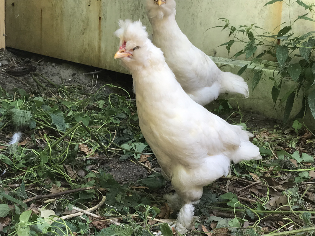 EC29D9C2-7F7C-4890-AB3A-5471B36F7DF7