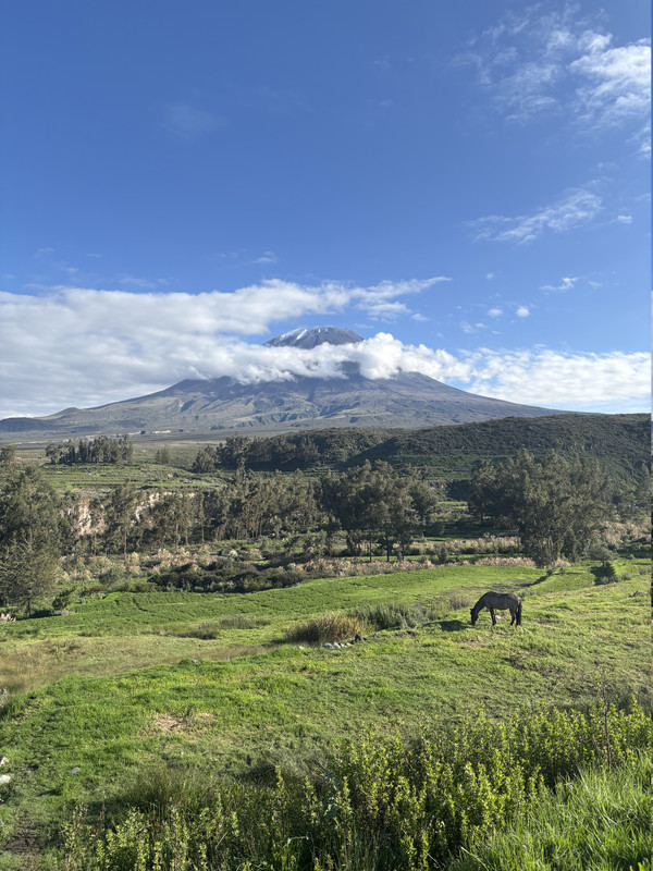Día 5: Reserva de Salinas en Arequipa - 16 días recorriendo Perú por libre (1)