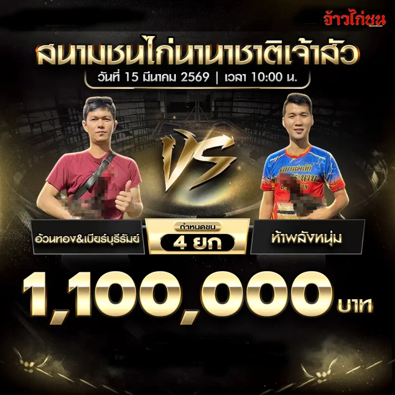 โปรแกรมไก่ชน คู่ อ้วนทองและเบียร์ร์บุรีรัมย์ พบ ห้าพลังหนุ่ม สนามชนไก่นานาชาติเจ้าสัว 15 มีนาคม 2569