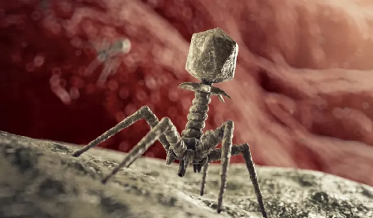 Un virus desconocido ha surgido del lugar más profundo de la Tierra