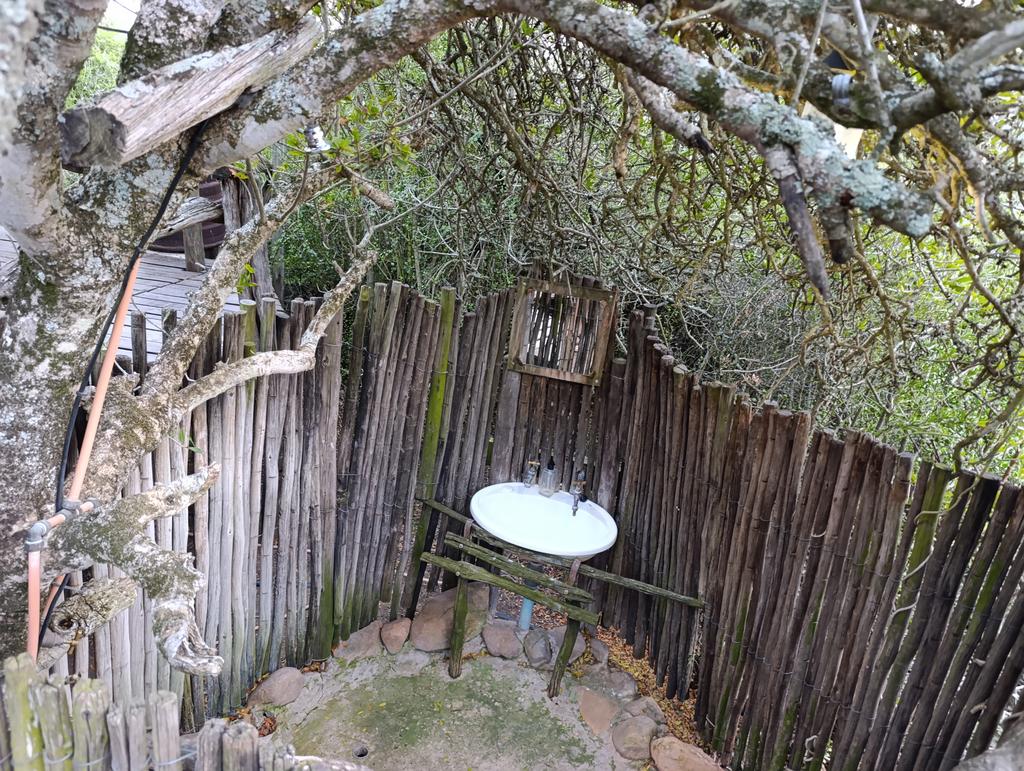 Такая близкая Африка. (ЮАР. 22 дня и 4200 км. Ноябрь-Декабрь)