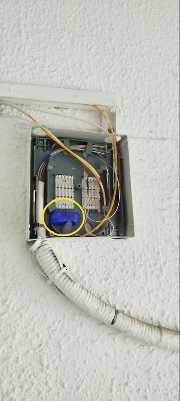 photo 5251353730416841948 y