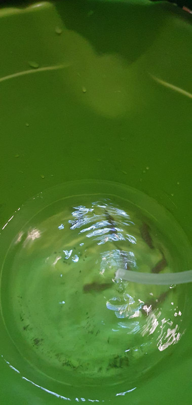 C1D55D2E-E650-41B7-9F7A-2D8234AA65EF