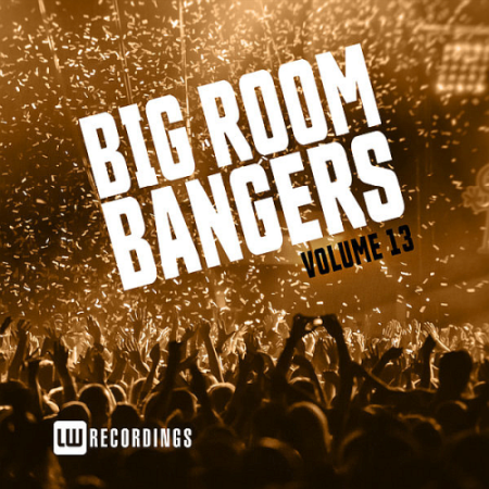 VA   Big Room Bangers Vol. 13 (2020)