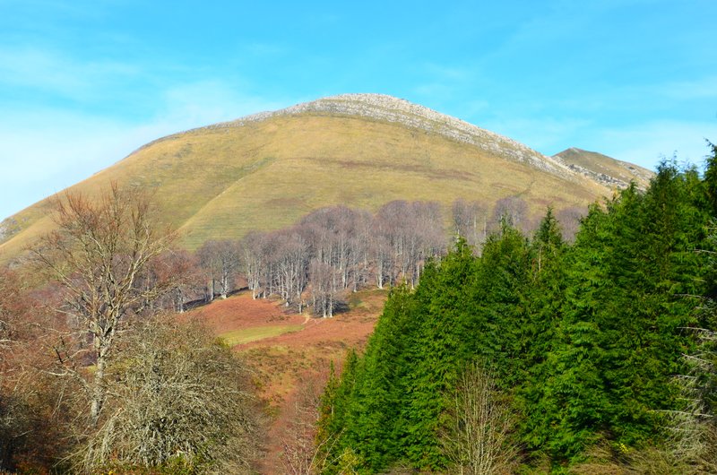 SELVA DE IRATI-14-11-2015-NAVARRA - Paseando por España-1991/2015-Parte-1 (77)