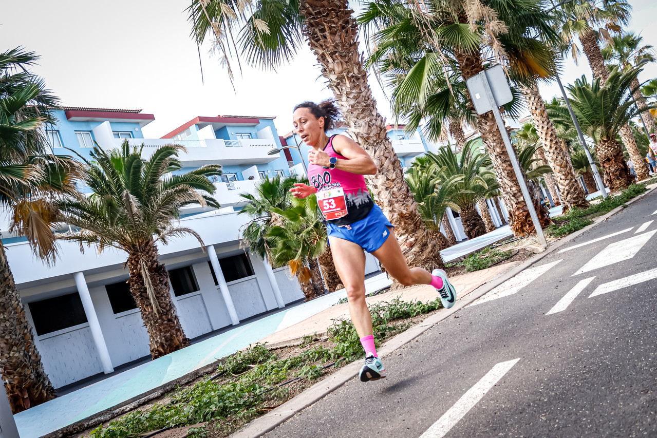 Canary Run 7823