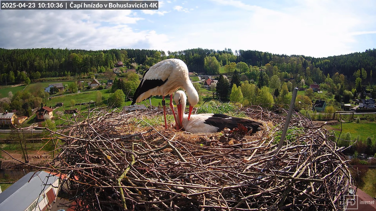 Tiešraidē no uzņēmuma KARA stārķa skursteņa Bohuslavicē pie Trutnovas 13-40-58 screenshot