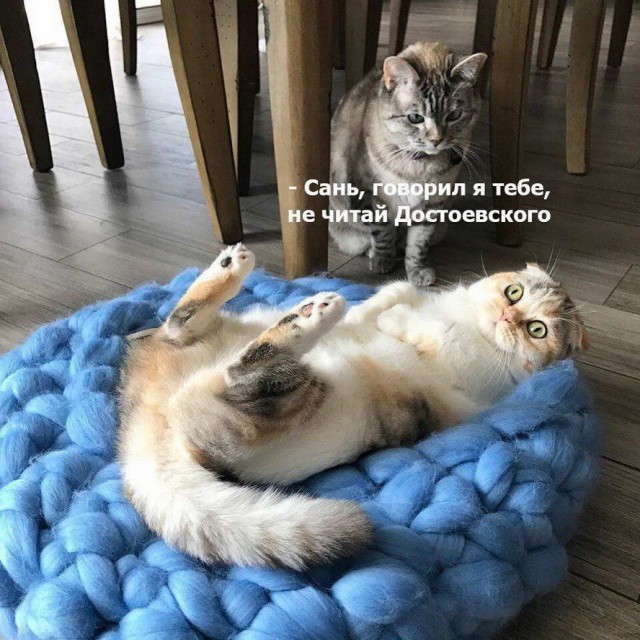 17217719.jpg