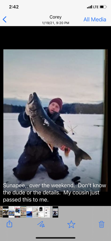 5081BCA1-18AE-43E3-8B19-2435DB9DA5F2