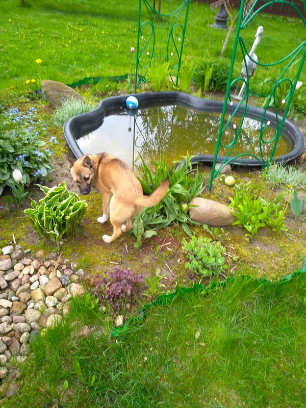 D551243F-B557-40F0-9237-F079A7D5E144