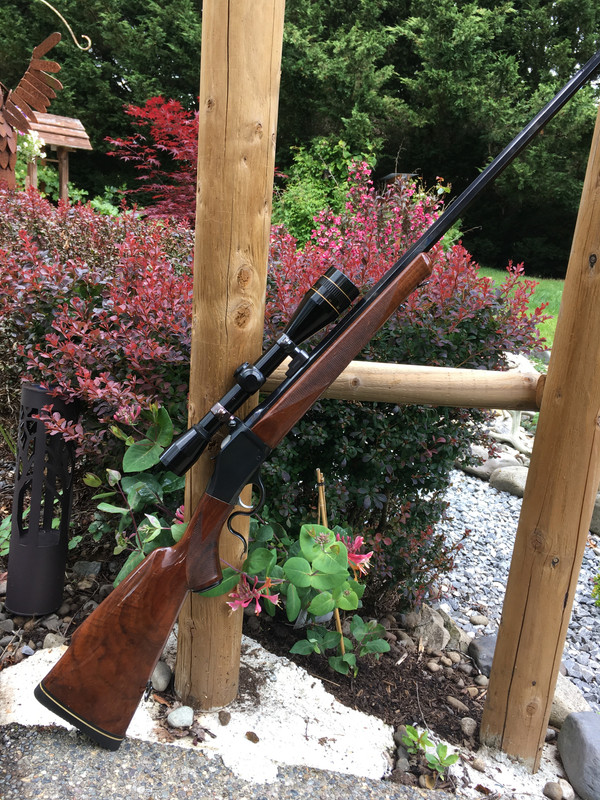 A9874C8A-20D6-43E3-A191-B54494CC7F1B