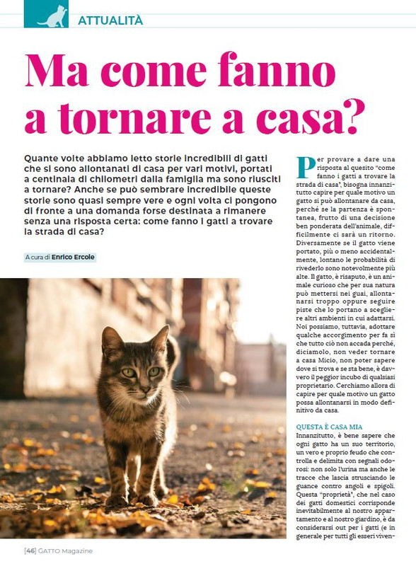 Ga Ma Dic 2022-Gen 2023 (11)