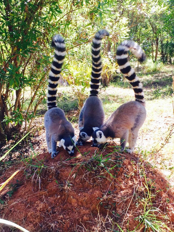 18740183-10154485550330703-6115554423864