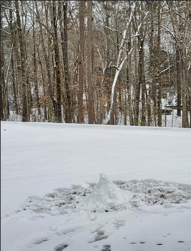 [Image: 20260131building-Snowy-Mountain165349.jpg]