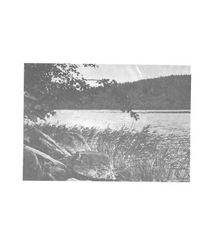 p0002