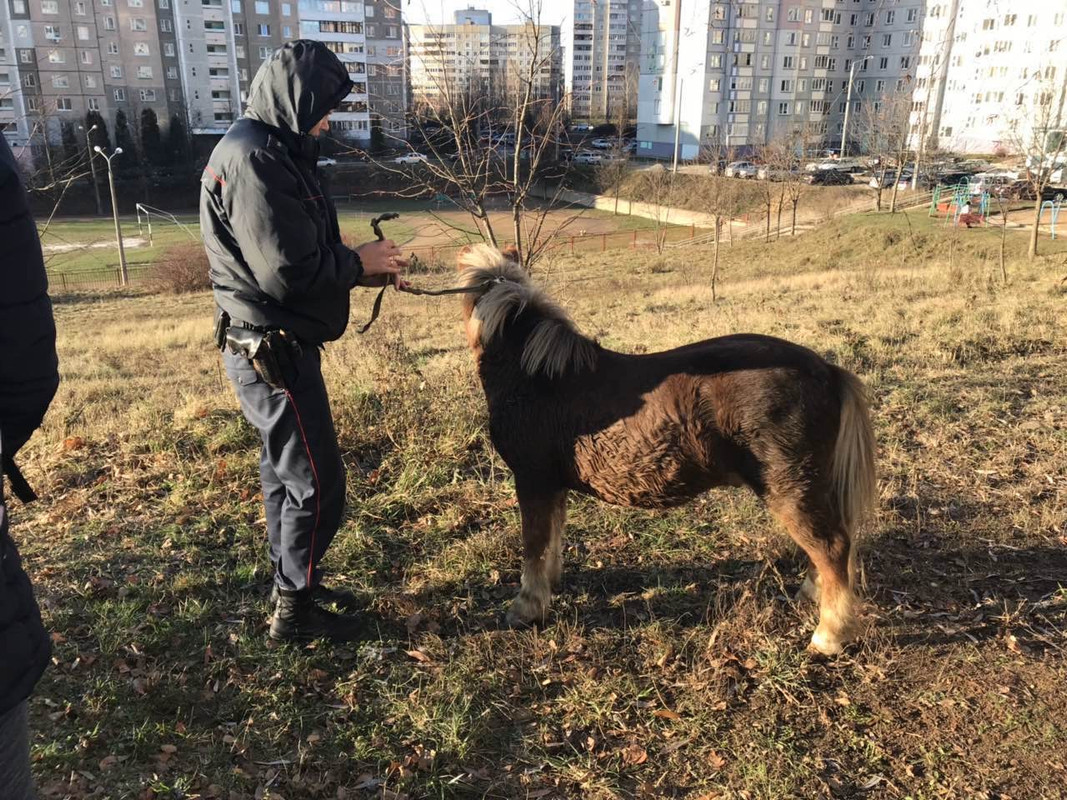 41942A69-CEDA-4CDF-89D9-6A53C902FD23